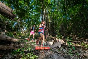 BIB: 
                            <button type="button" onclick="openModal(19387713)" class="btn btn-primary btn-sm float-right btn-popup" data-toggle="modal" data-target=".modal-high-quality">
                        <i class="fas fa-shopping-cart"></i> Add to Cart
                    </button>
                                            <button type="button" onclick="isThisMe(19387713, true)" class="btn btn-success btn-sm float-right btn-popup btn-isme hidden" data-toggle="tooltip" data-placement="bottom" title="นี่คือรูปของคุณใช่ไหม คลิกที่นี่เพื่อเอาเข้าอัลบั้ม">
                        <i class="fas fa-plus"></i> Add to album
                    </button>
                    <button type="button" onclick="isThisMe(19387713, false)" class="btn btn-warning btn-sm float-right btn-popup btn-isnotme hidden">
                        <i class="fas fa-ban"></i> Remove from album
                    </button>